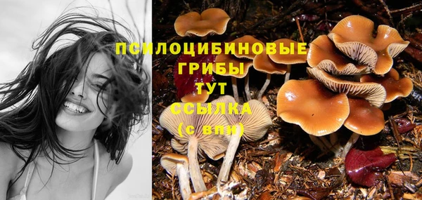 мяу мяу кристалл Аркадак