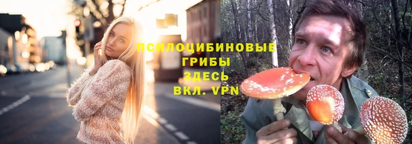 a pvp Алексеевка