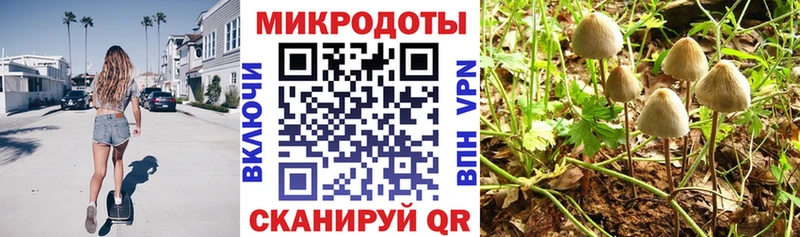 Галлюциногенные грибы ЛСД  Купить закладки  Ливны 